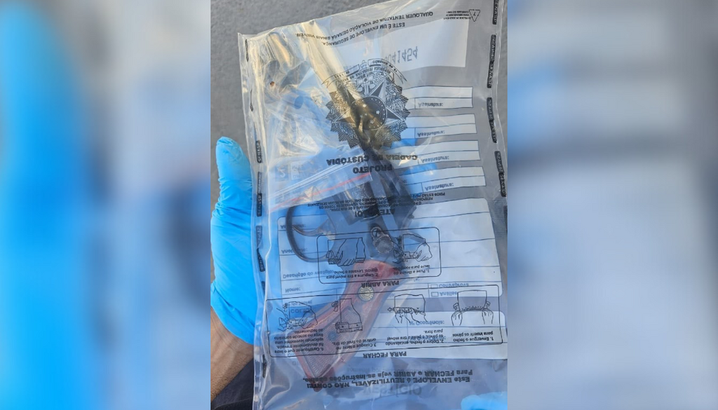  - IMAGEM DIVULGAÇÃO