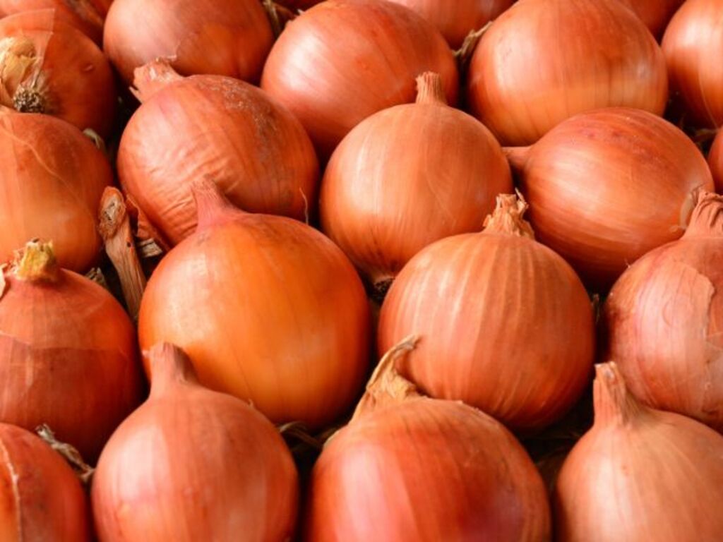  - IMAGEM DIVULGAÇÃO