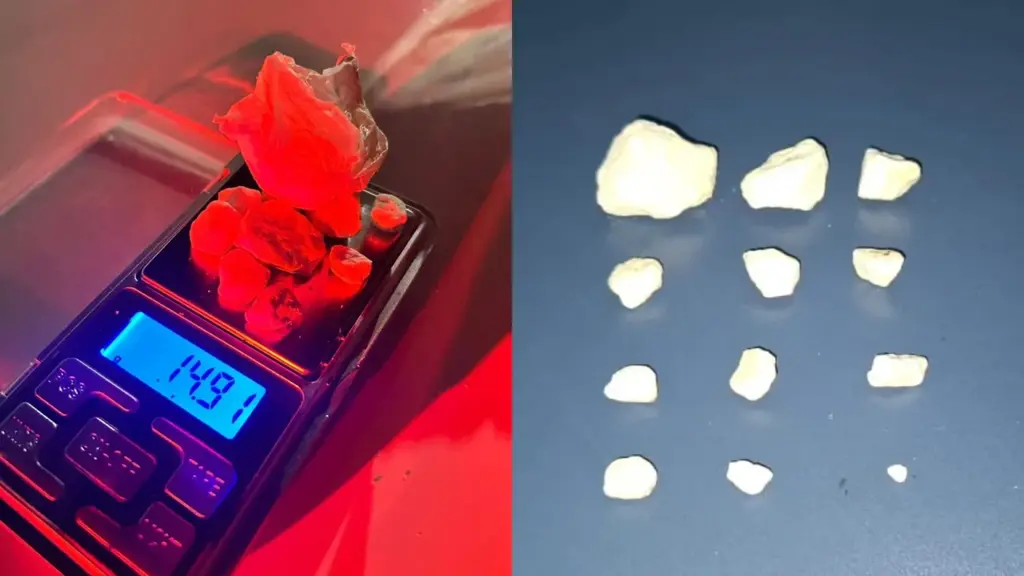  - IMAGEM DIVULGAÇÃO