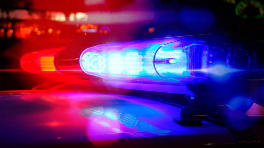 Imagem Reprodução Internet - Polícia Militar prende homem por tráfico de drogas e mulher por desacato e calúnia em Laguna