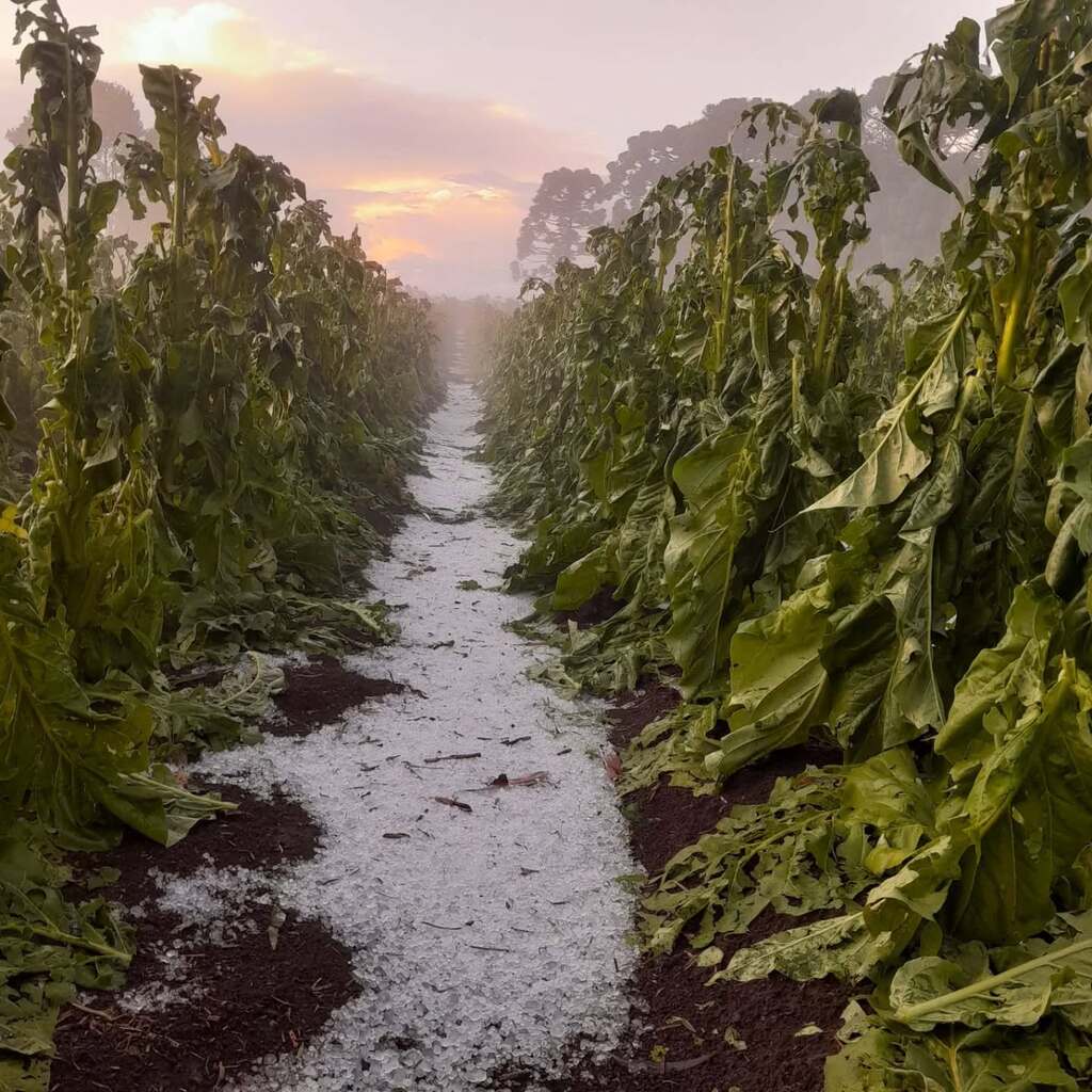 Temporal com granizo atinge a comunidade do Salto d’Água Verde em Canoinhas