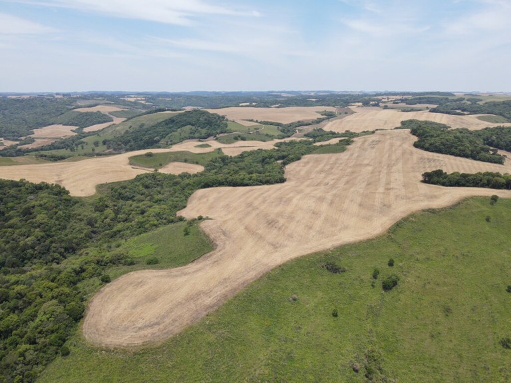 Ibama fiscaliza supressão de campos nativos em Bagé