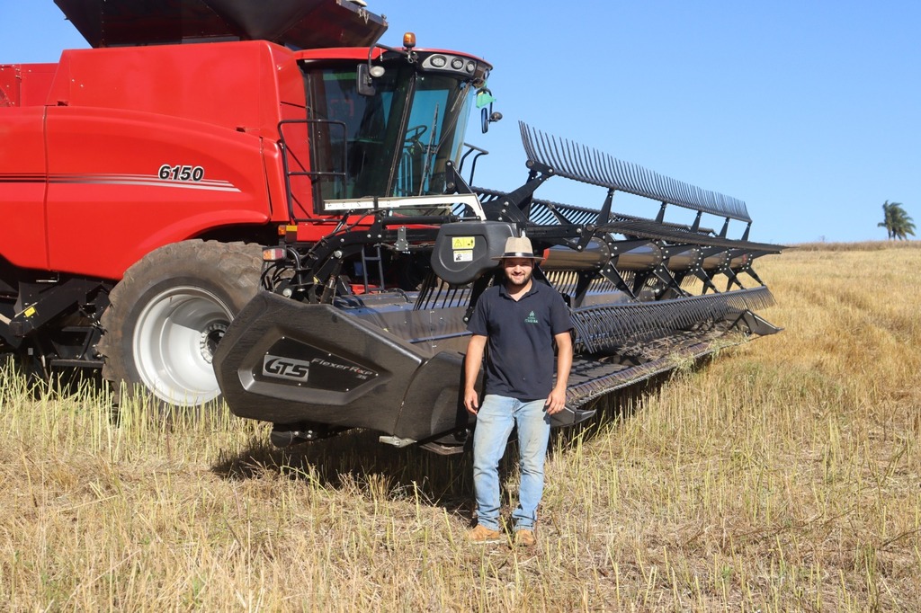 Da lavoura ao combustível de avião: carinata avança em Campos Novos