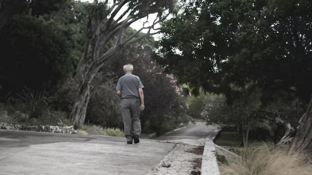 Imagem Freepik - Idoso desaparecido é localizado por moradora após mobilização da segurança em Imbituba