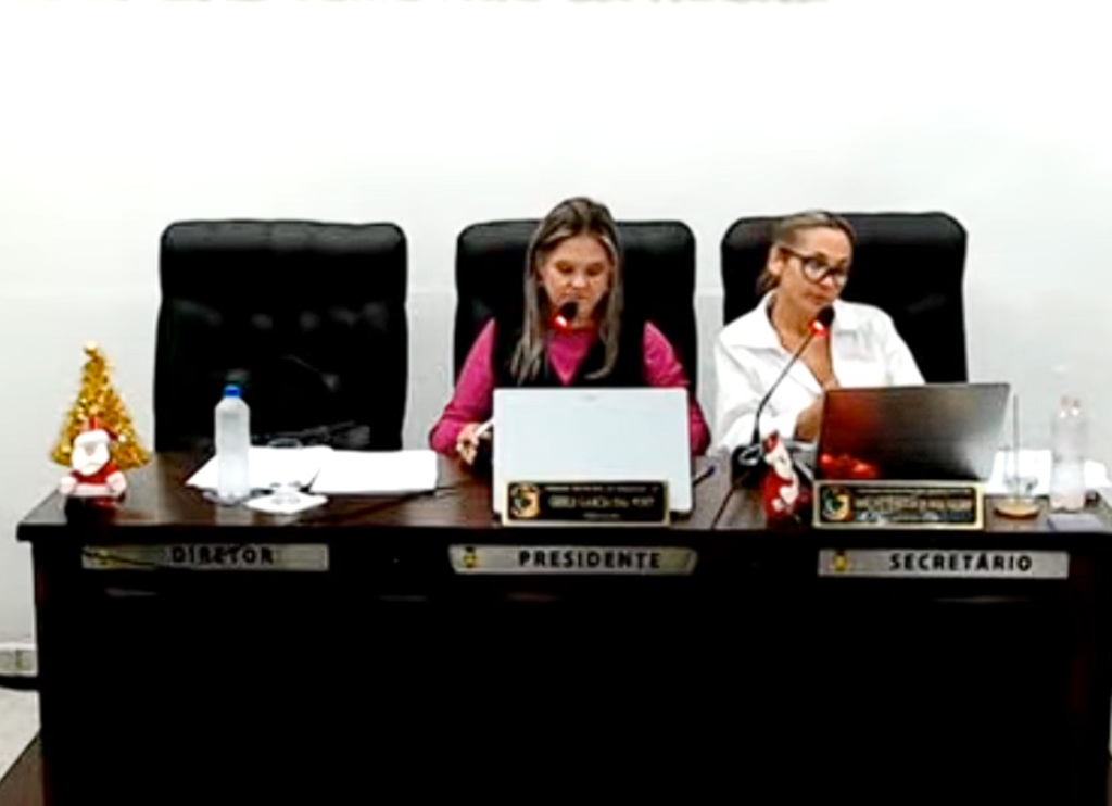 Vereadora Gisele faz balanço dos 15 dias no comando do Legislativo de Maracajá