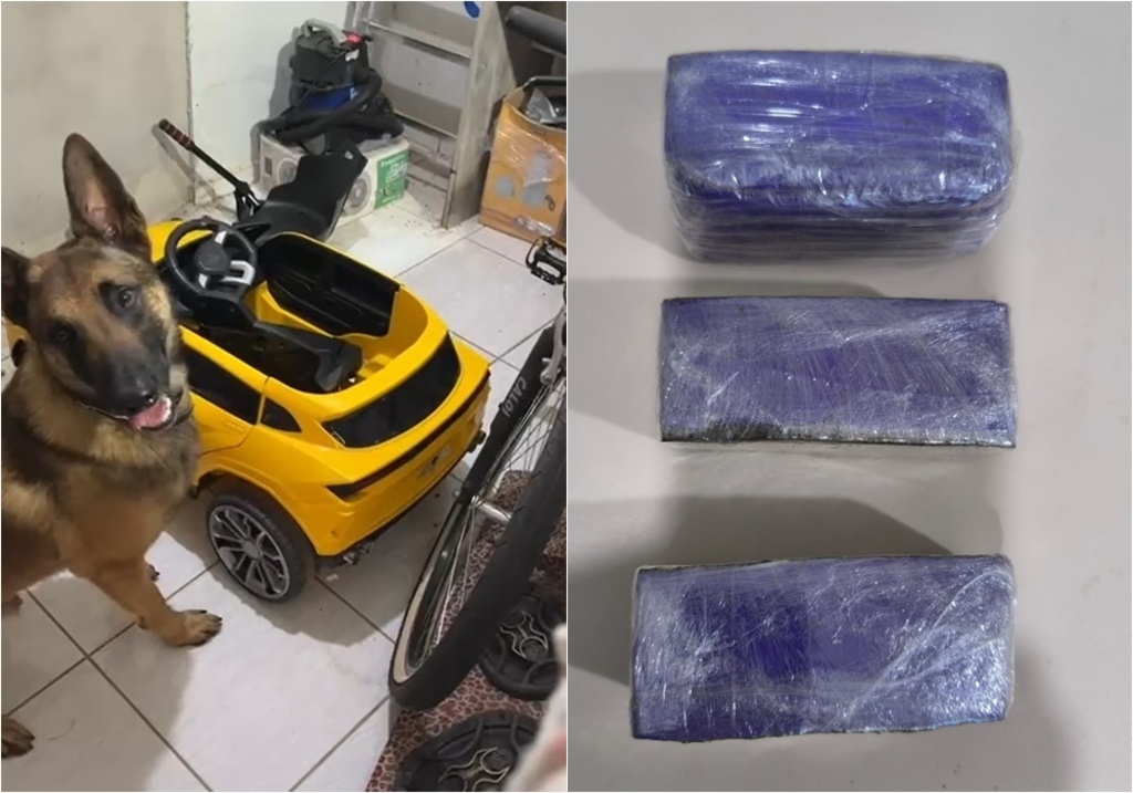  - IMAGEM DIVULGAÇÃO