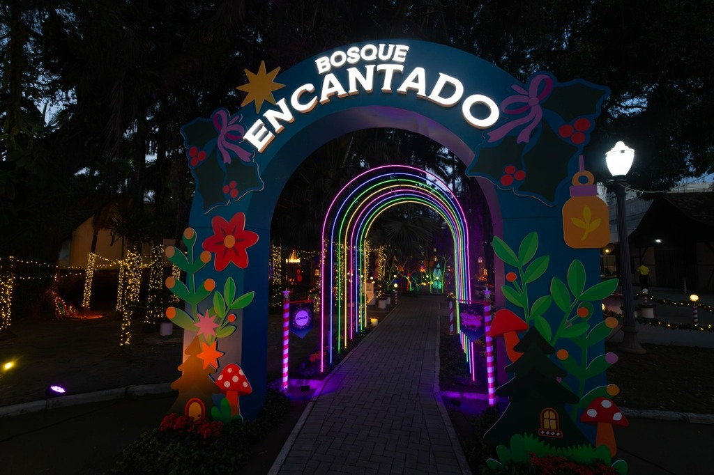 Bosque Encantado, novidade desta edição do Natal de Joinville, encanta visitantes combinando luzes, sons e surpresas