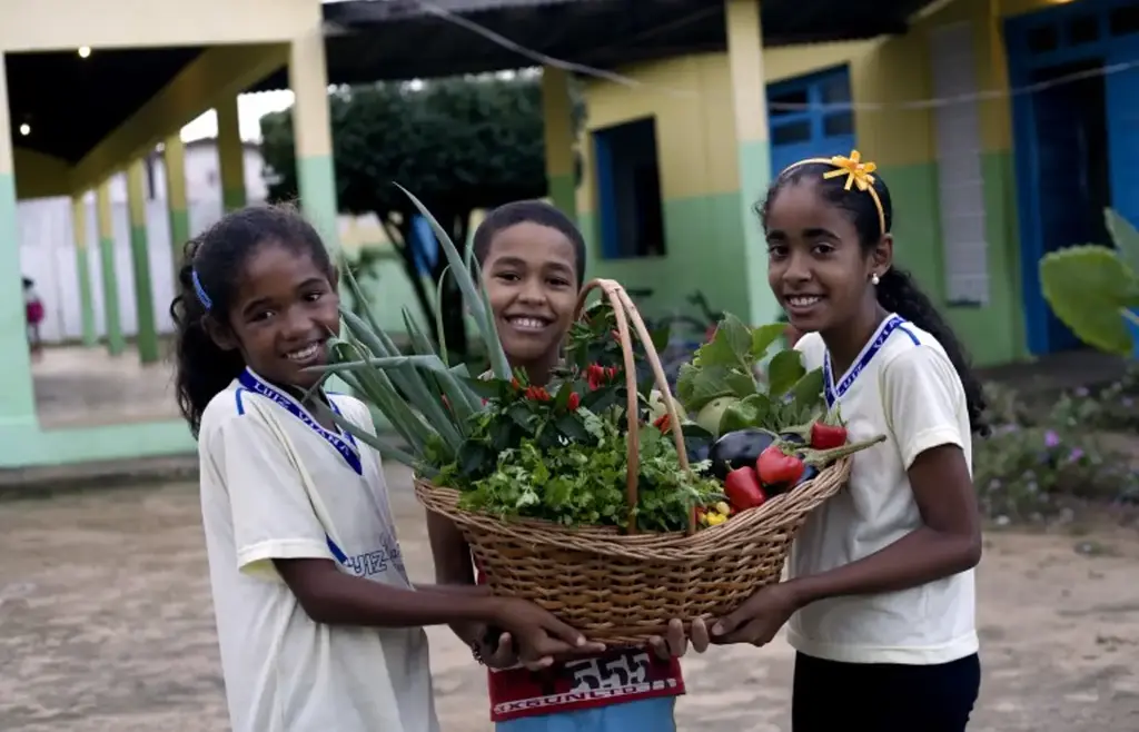 Novo Pronacampo entra na reta final de adesão