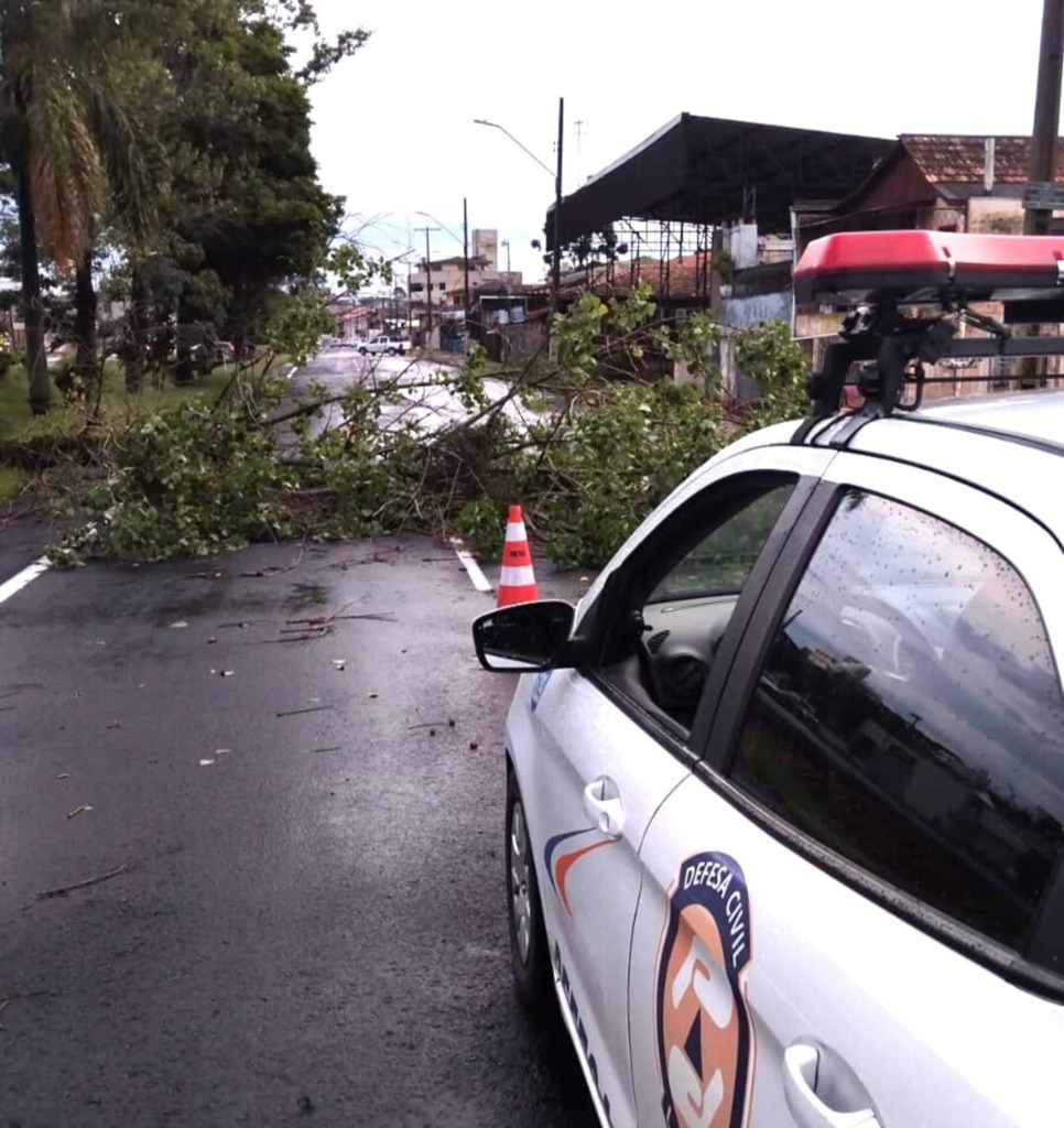 Prefeitura de Lages atende mais de 60 ocorrências devido à tempestade