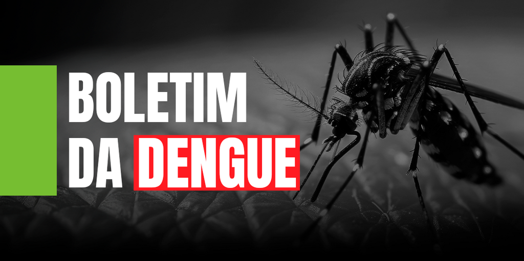 Saúde registra mais de 62 mil focos do Aedes Aegypti até início de dezembro