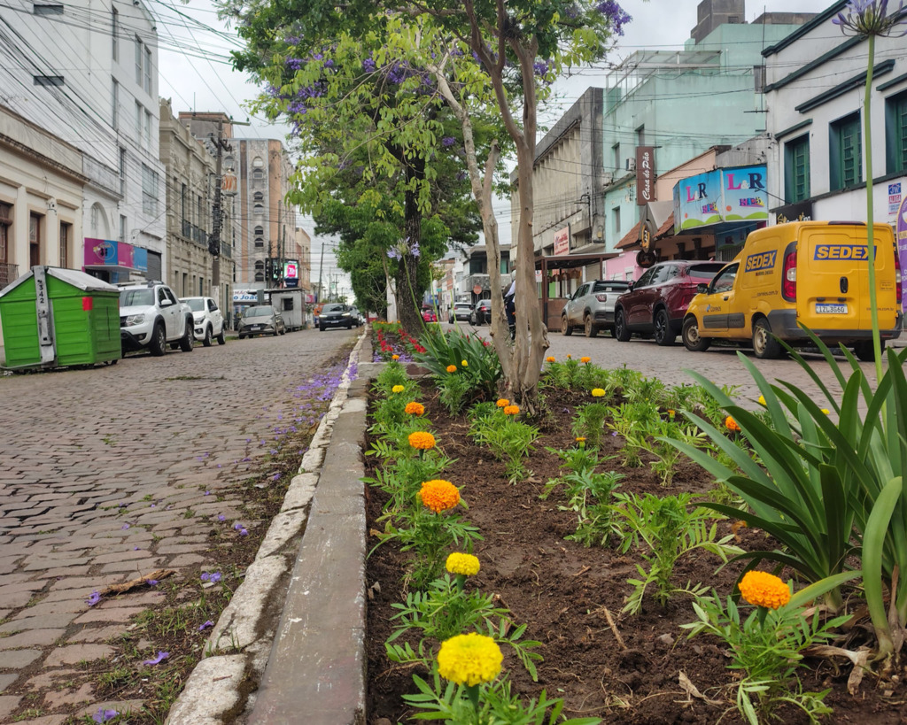 Canteiros de Bagé recebem revitalização