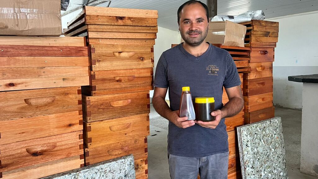 Invernada dos Negros investe na apicultura e amplia oportunidades com apoio do Sebrae