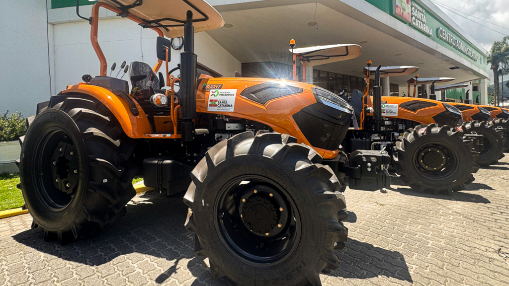 Imagem principal artigo