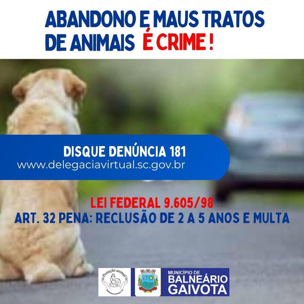 BALNEÁRIO GAIVOTA LANÇA CAMPANHA FORTE CONTRA O ABANDONO DE ANIMAIS