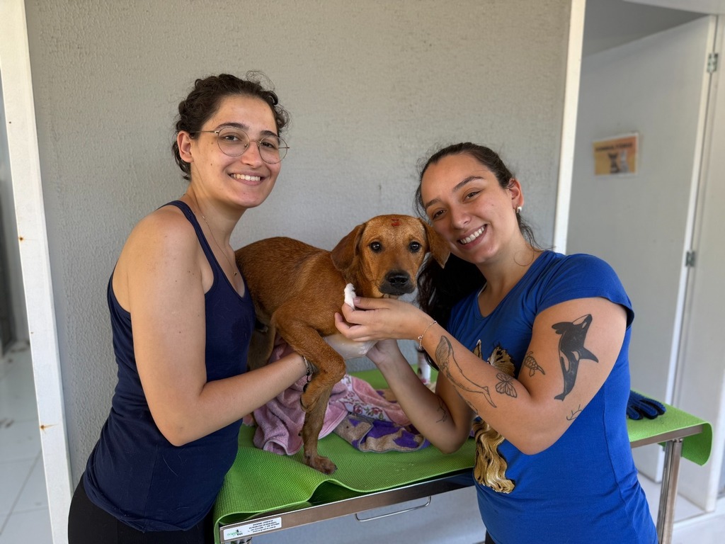 Alunos do IFC levam cuidado e solidariedade aos animais do CBEA