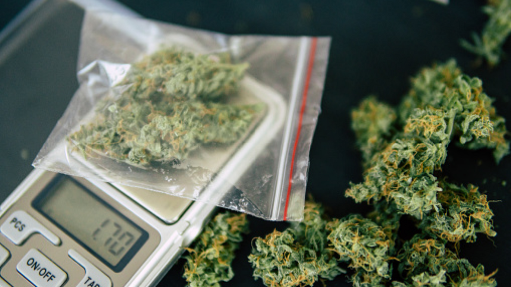 Imagem iStock - Homem é preso por tráfico de drogas na Praia do Rosa durante ação da Polícia Militar