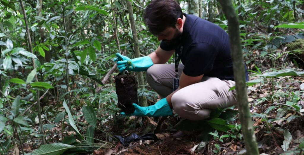 Parque Zoobotânico recebe mudas de árvores nativas em ação de sustentabilidade do Tribunal de Contas de Santa Catarina