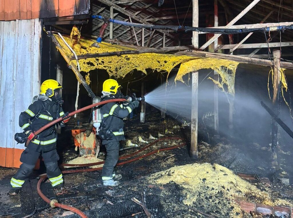  - IMAGEM DIVULGAÇÃO