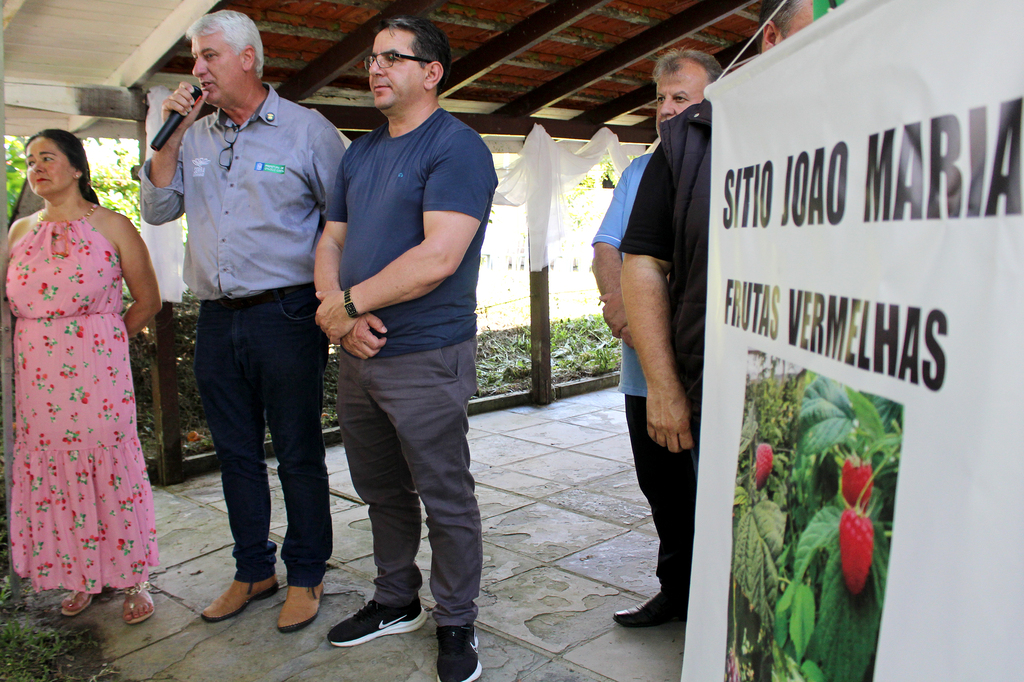 Otacílio Costa quer se tornar referência na produção de frutos vermelhos