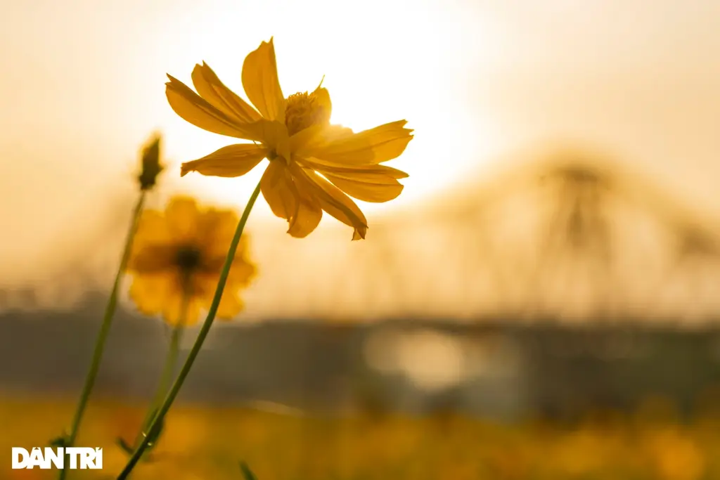 Primavera termina com calor e sol em Santa Catarina
