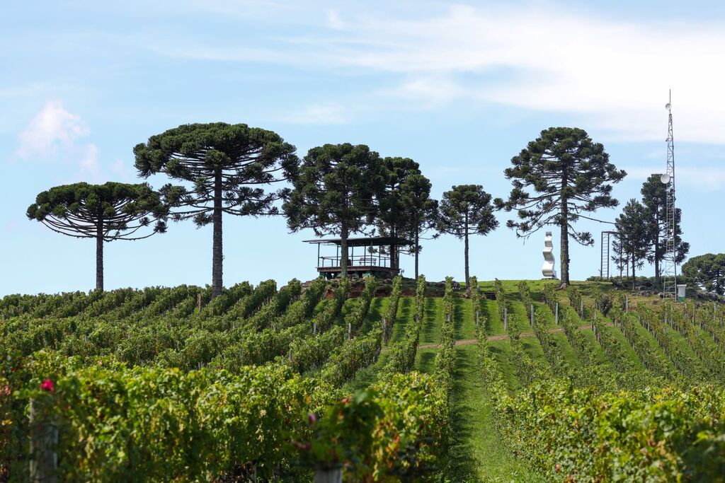 Santa Catarina cria programa para modernizar o Pagamento por Serviços Ambientais