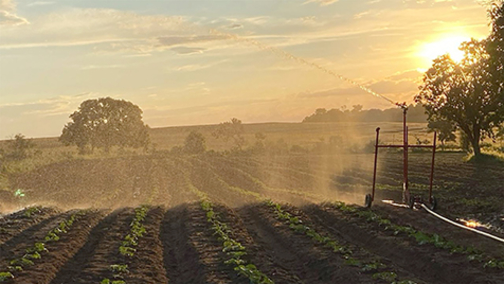 Previsão de menos chuvas
