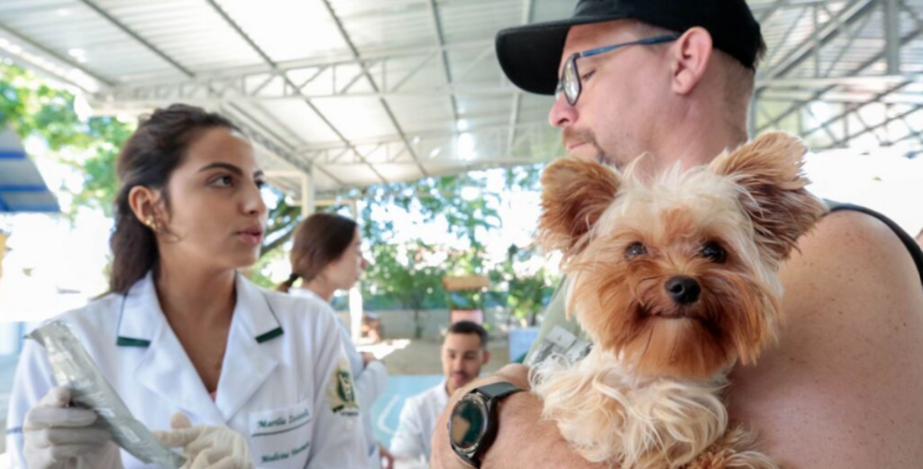 Mutirões de microchipagem batem recorde de atendimentos em Joinville em 2025