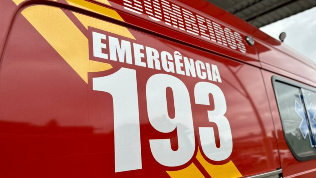 Imagem Reprodução Internet - Bombeiros atendem casos clínicos, controlam incêndios e resgatam gato preso em árvore