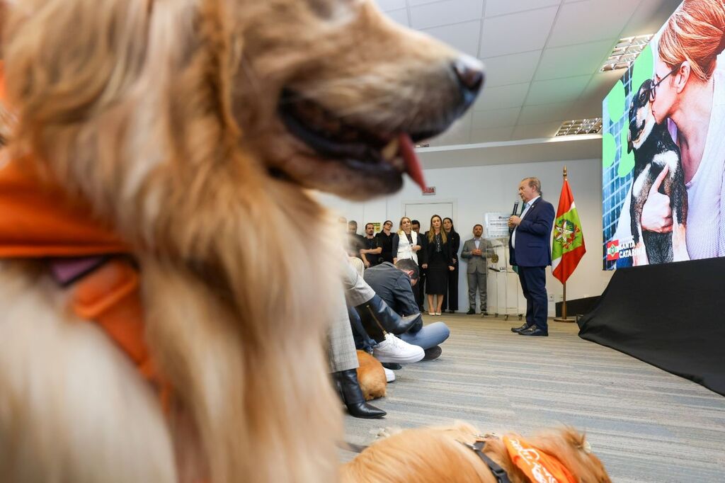  - IMAGENS DIVULGAÇÃO