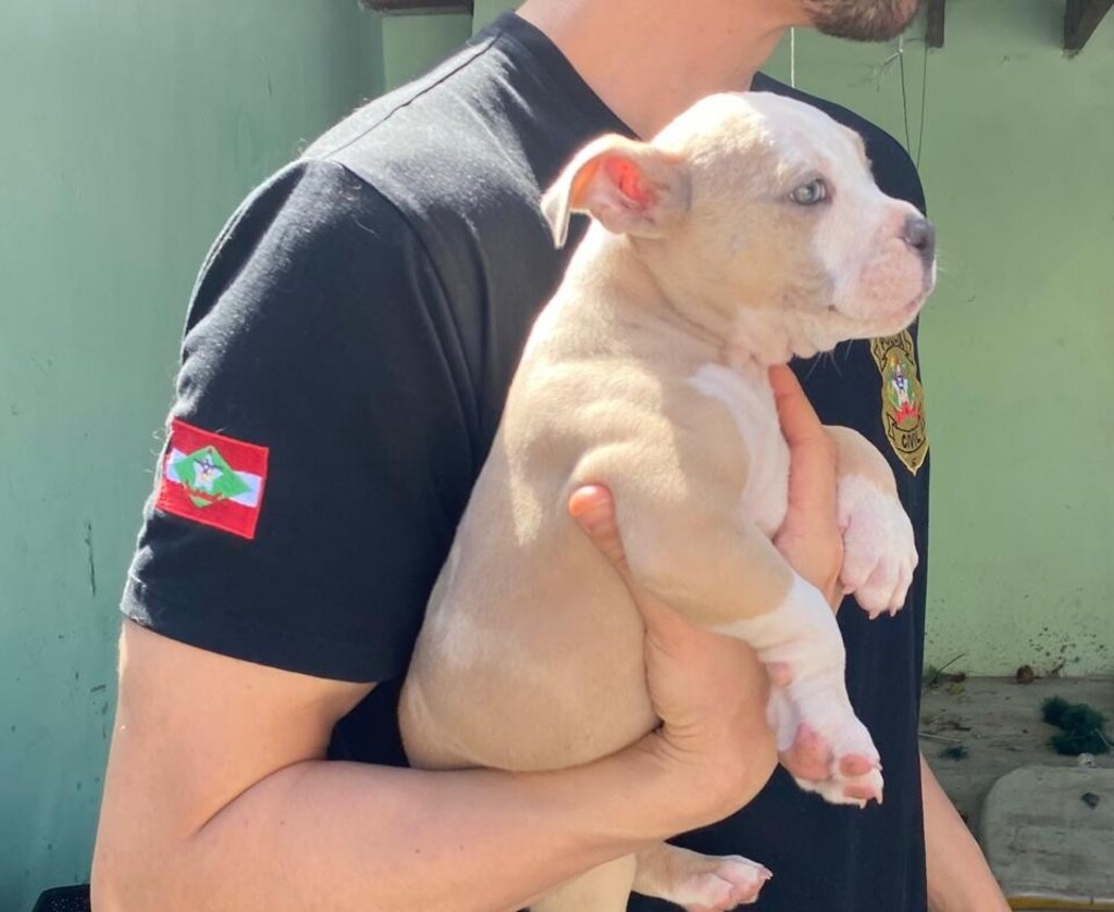  - IMAGENS DIVULGAÇÃO