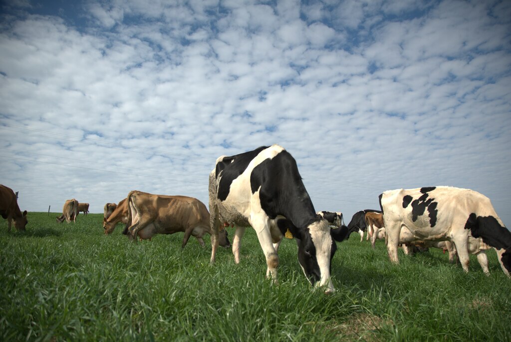Santa Catarina encerra 2025 com recordes no agro e mais de R$ 500 milhões investidos no campo