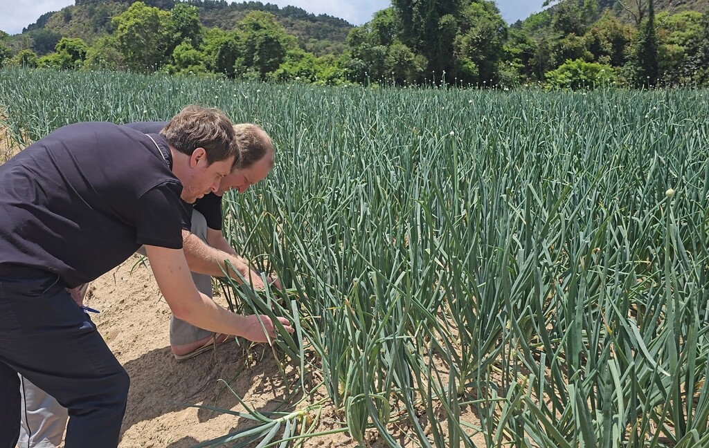 Safra Garantida SC reforça a proteção das lavouras em Santa Catarina
