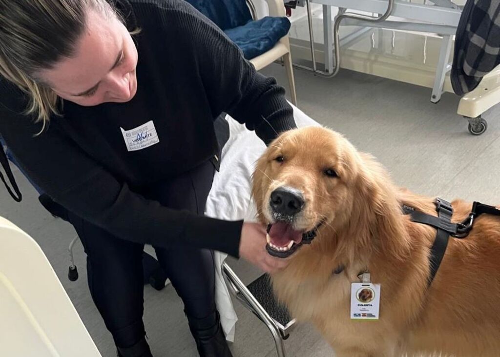 Cão terapeuta ajuda na recuperação de pacientes no Hospital Regional Hans Dieter Schmidt em Joinville