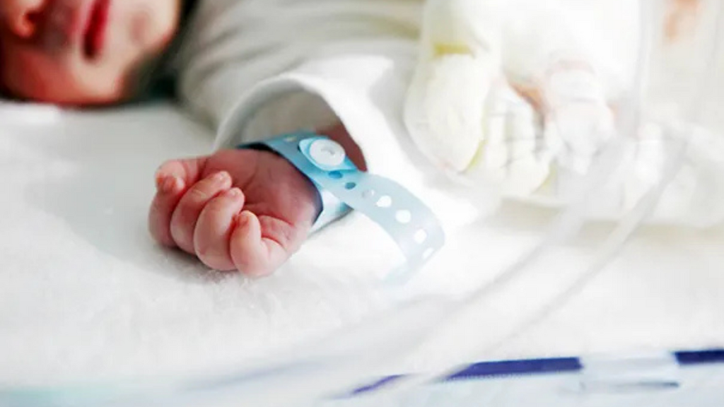 Recém-nascidos concentram maioria das falhas na assistência à saúde em Santa Catarina