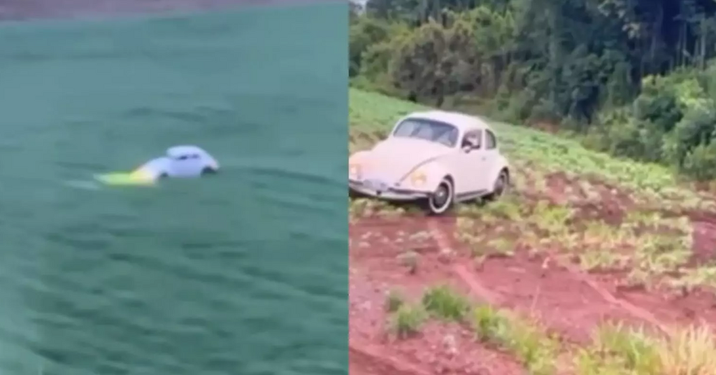 Jovens invadem propriedades, destroem plantios e zombam do prejuízo em SC