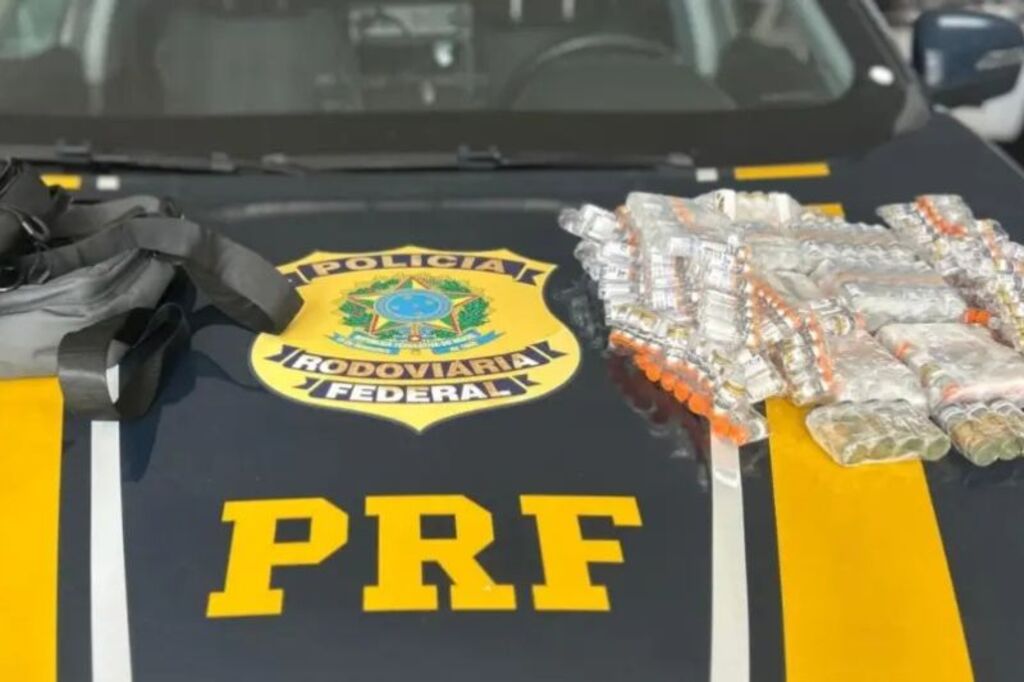 Foto: PRF, Divulgação - Material estava escondido em duas bolsas