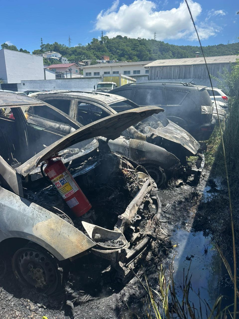  - IMAGEM DIVULGAÇÃO