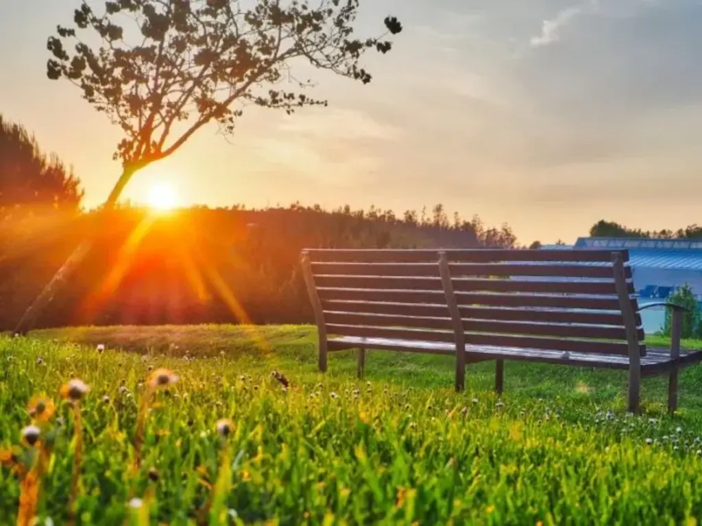  - IMAGEM DIVULGAÇÃO