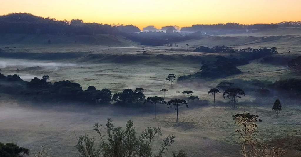 Serra Catarinense registra 2ª feira de 2026 com mínima de 0,9°C em pleno janeiro