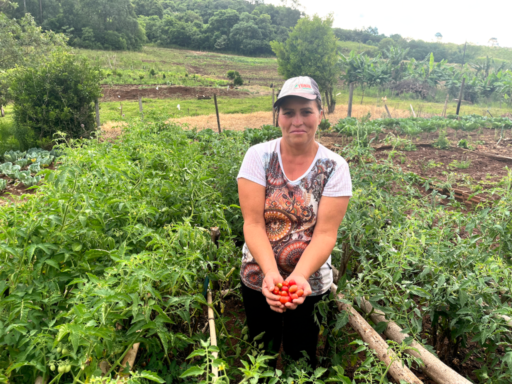Imagem Artigo Geral Lages comprará alimentos para distribuir a famílias carentes