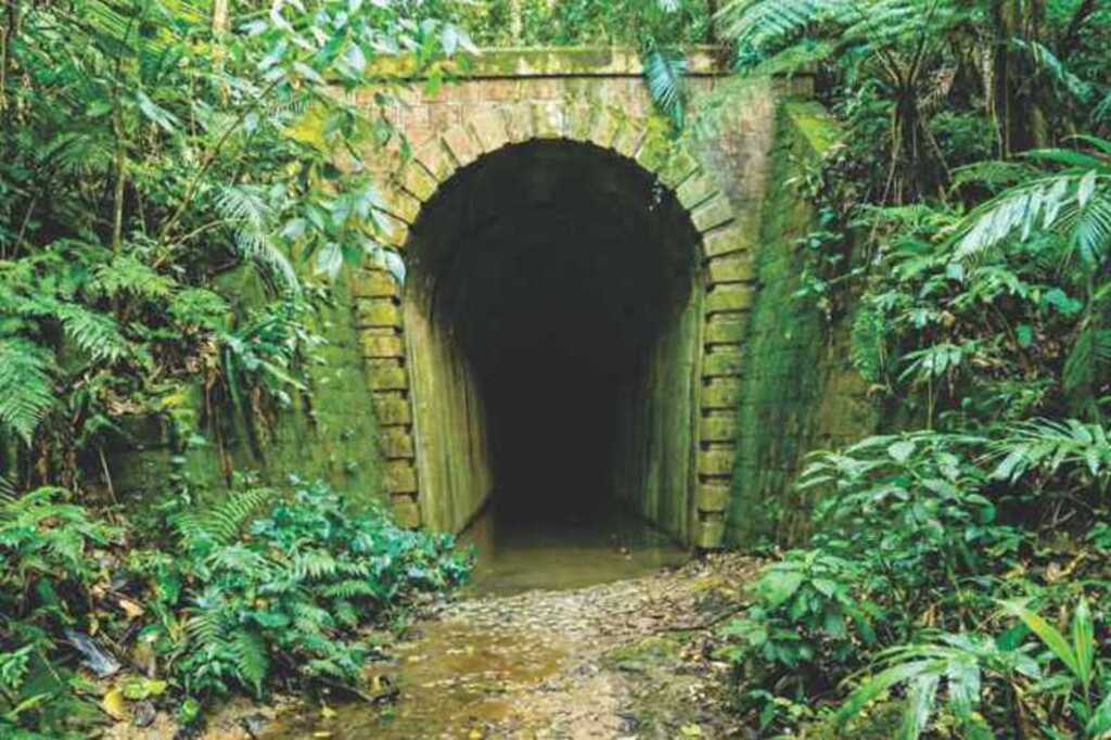 Apiúna revitaliza maior túnel da antiga EFSC