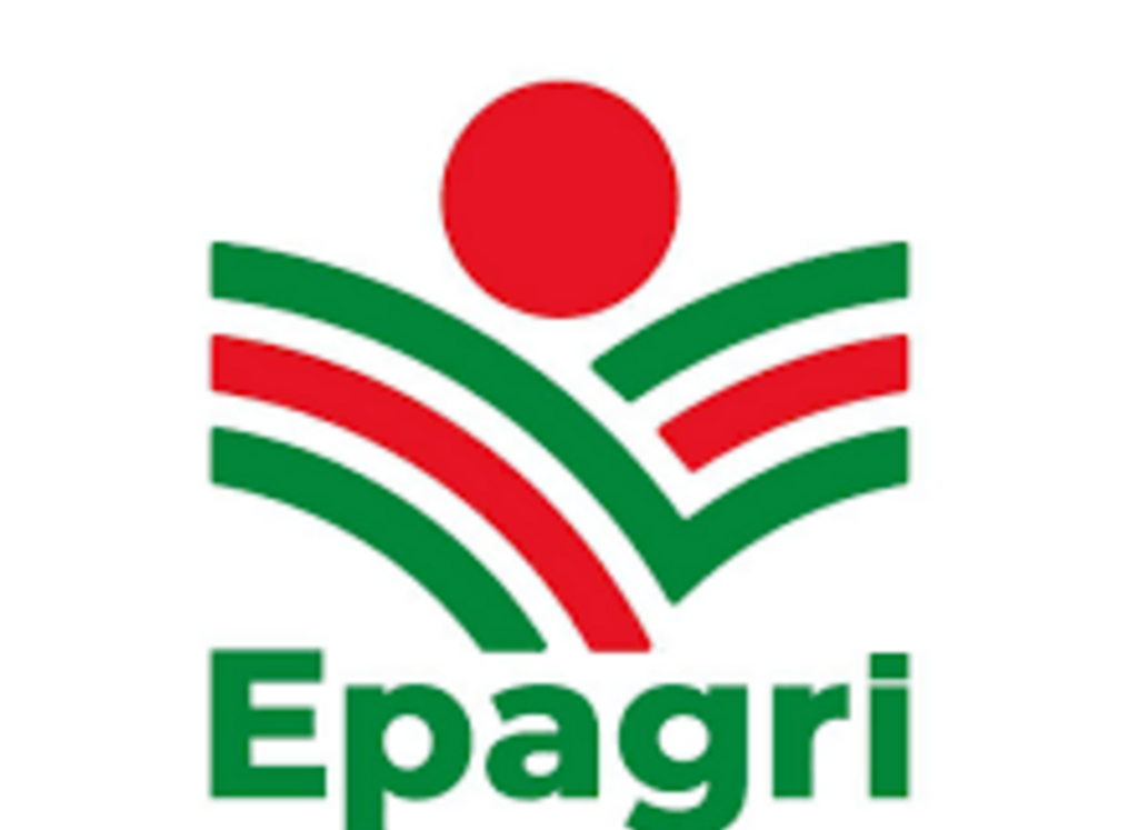 BALANÇO 2025: EPAGRI AVANÇA EM AÇÕES PARA SUSTENTABILIDADE E MITIGAÇÃO CLIMÁTICA NO CAMPO