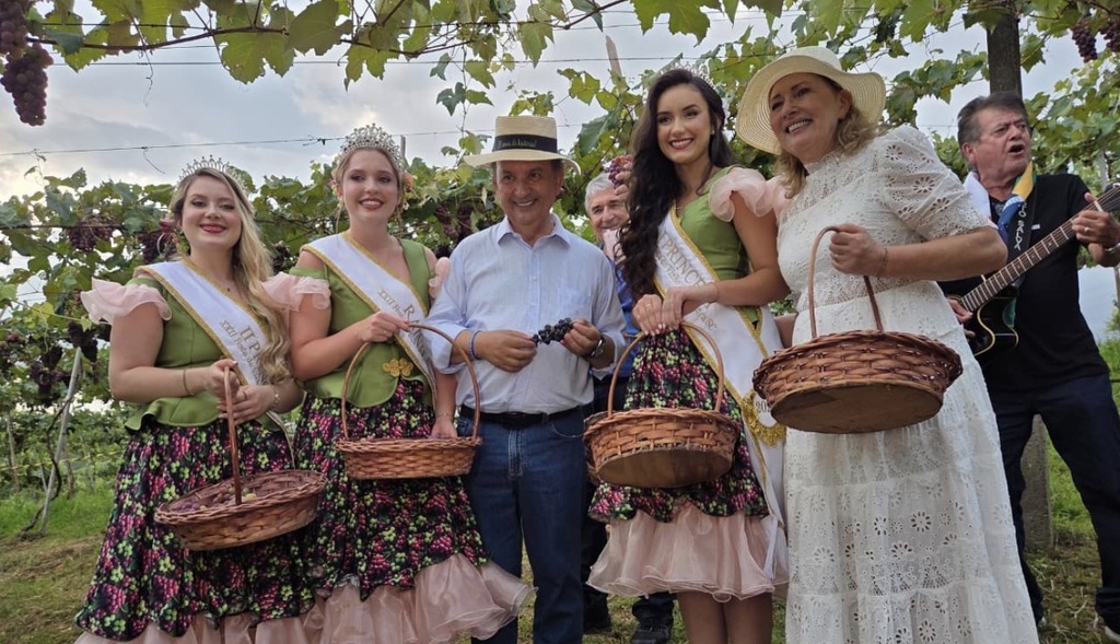 Vindima celebra o tempo de colheita com atividades nas vinícolas dos Vales da Uva Goethe