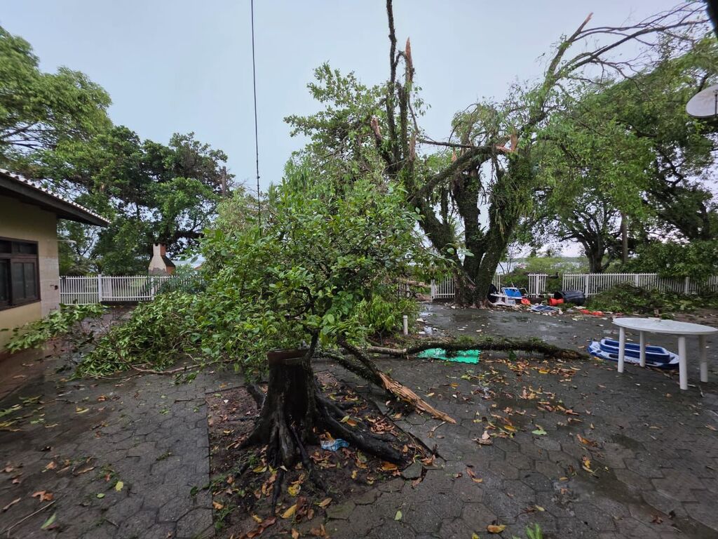 Chuva intensa provoca destelhamentos e quedas de árvores em São Francisco do Sul