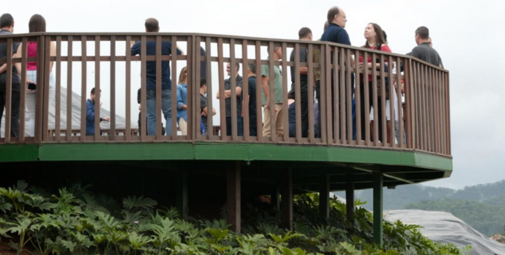 Durante as férias, Parque Bororós permite visitas sem agendamento em Joinville