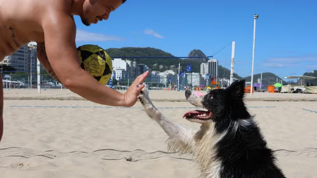 Foto: Redes Socias - Da areia da orla ao mundo: cachorro vira astro da altinha e soma bilhões de visualizações