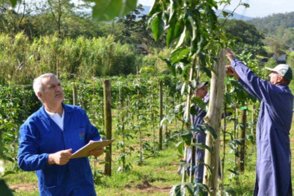 Epagri e Governo do Estado vão investir R$ 7,8 milhões em projetos de pesquisa para impulsionar inovação na agropecuária