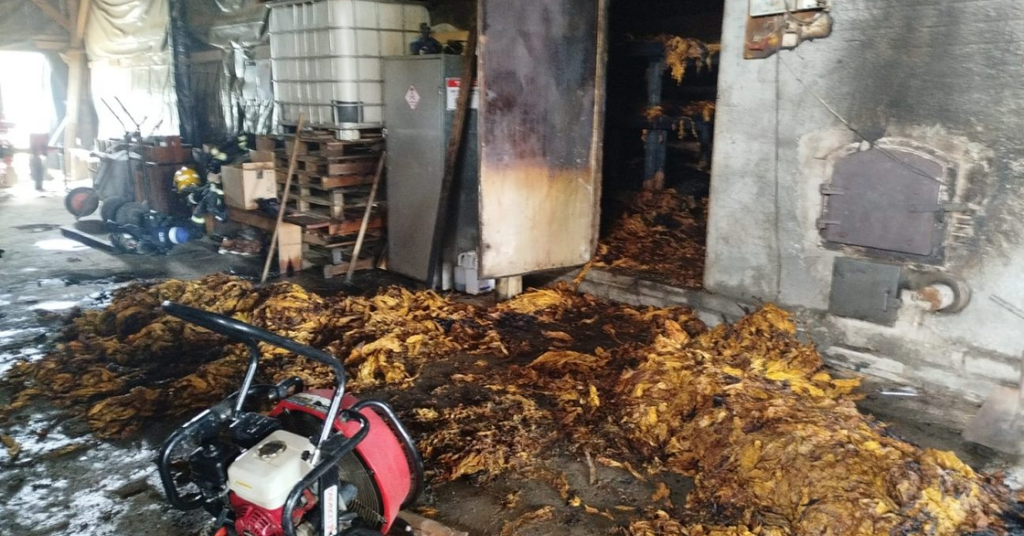 Bombeiros evitam perda de meio milhão de reais em incêndio de estufa de fumo em SC