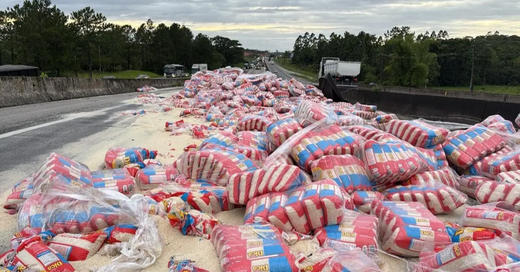Caminhão carregado com arroz tomba e causa filas na BR 101 em Araquari