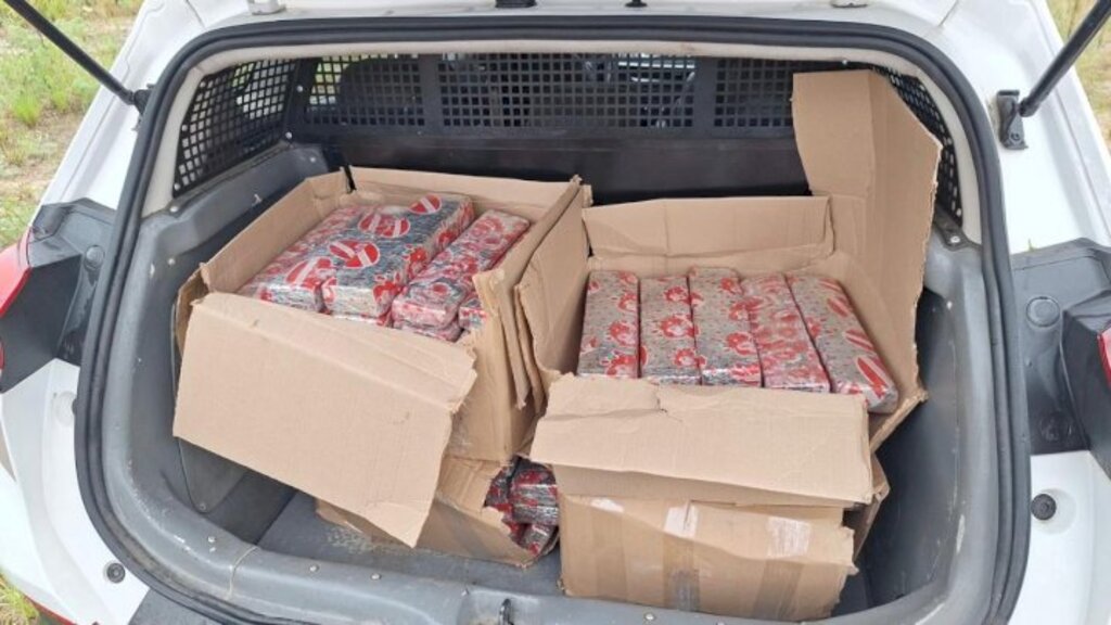  - IMAGENS DIVULGAÇÃO